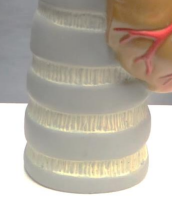 <p>What are these and what do they do?</p>