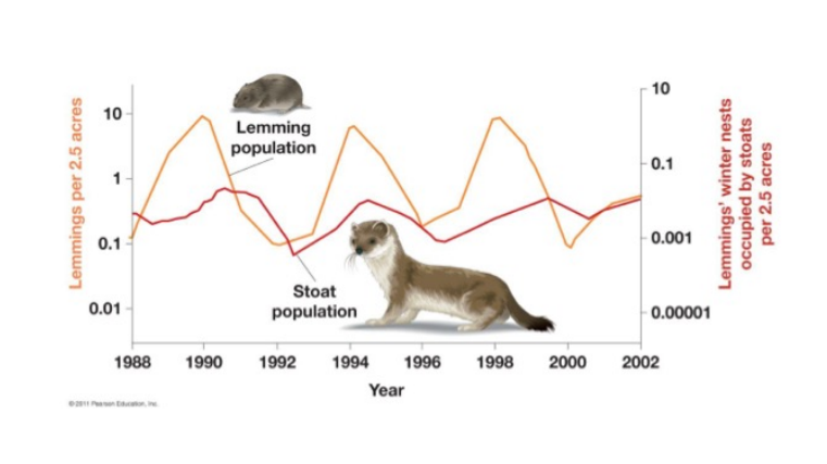 <p>Predatory (species interaction)</p>