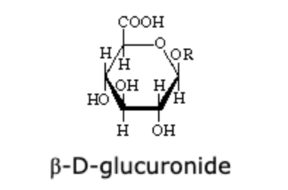 <p><br>The compound shown above is the <span style="line-height: 1.4;">β</span>-derivative of the D-glucuronic acid. The <span style="line-height: 1.4;">α</span>-D-glucuronide differs in configuration from the <span style="line-height: 1.4;">β</span>-derivative at:</p>