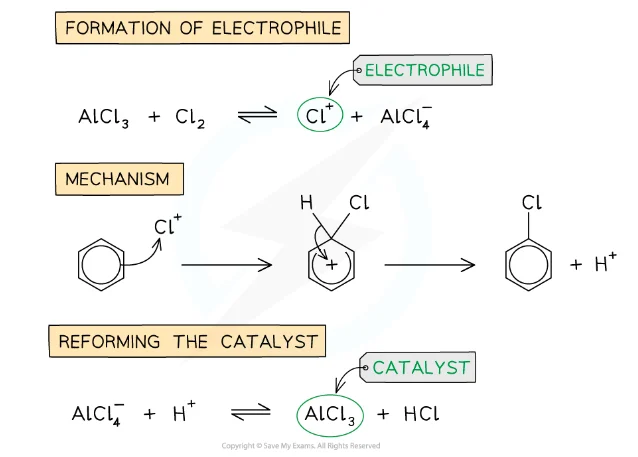 <p>Reagents - Cl<sub>2</sub> or Br<sub>2</sub></p><p>Conditions - Anhydrous AlFe<sub>3</sub>/AlBr<sub>3</sub>/FeCl<sub>3</sub>/FeBr<sub>3</sub> Catalyst</p><p>Electrophile - Cl<sup>+</sup> or Br<sup>+</sup></p><p>Generation of electrophile - AlCl<sub>3</sub> + Cl<sub>2</sub> → AlCl<sub>4</sub><sup>-</sup> + Cl<sup>+</sup></p><p>Regeneration of catalyst - AlCl<sub>4</sub><sup>-</sup> + H<sup>+</sup> → AlCl<sub>3</sub> + HCl</p>
