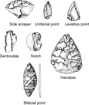 <p><span>Middle Paleolithic tool system focused on carefully made flake tools like scrapers and spear points</span></p>