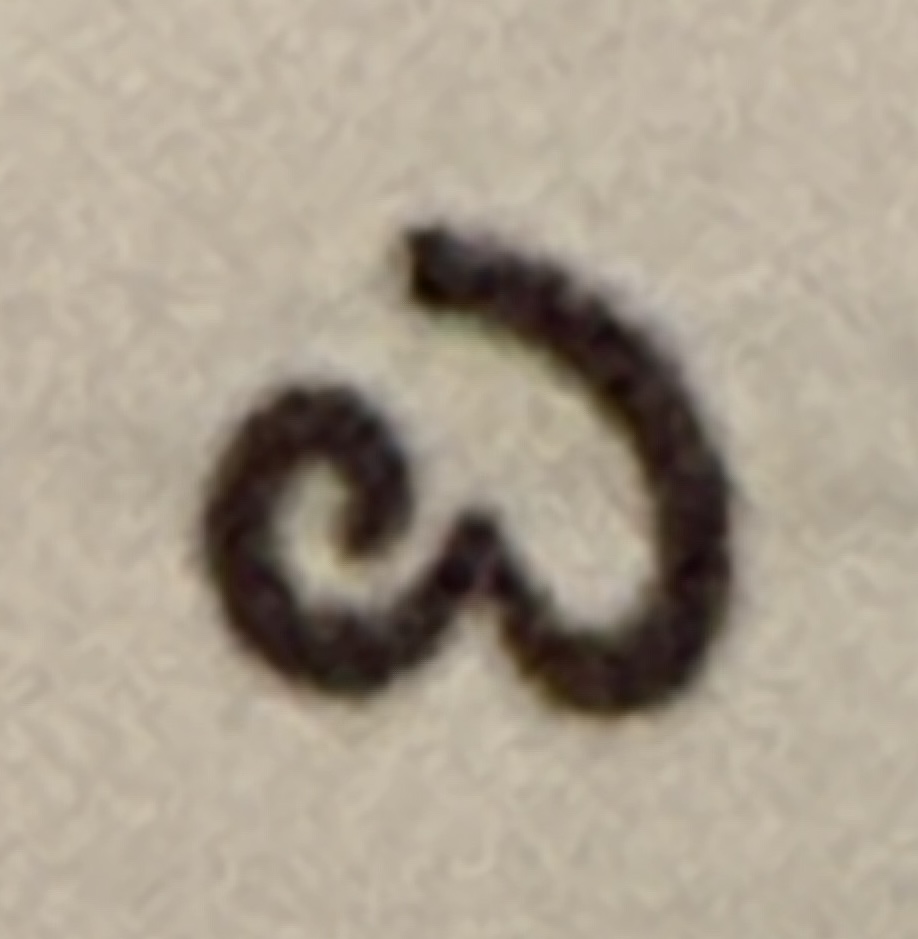 term image