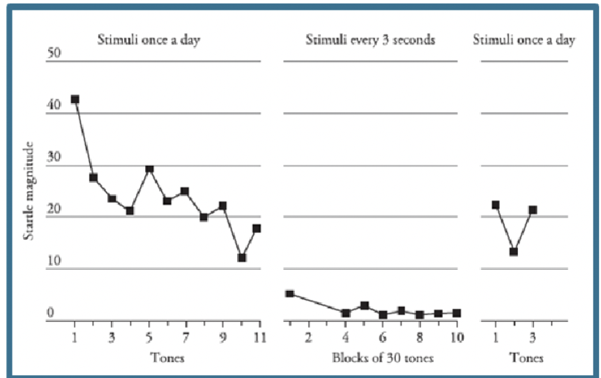 <p>The Startle Response + Habituation </p>