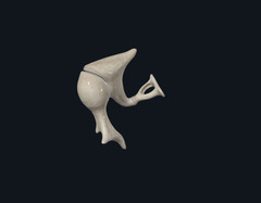 <p>Identify the Bones as a Group</p>