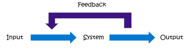 <p>A process in which outputs of a system are routed back to affect inputs.</p>