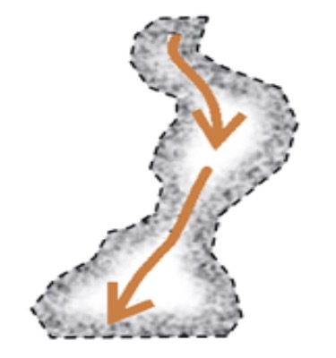 <p>What type of habitat patch is this?</p>