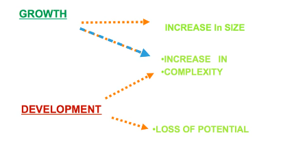 <ul><li><p>organisation/complexity</p></li><li><p>loss of potential</p></li><li><p>physiological and behavioural</p></li></ul><p></p>