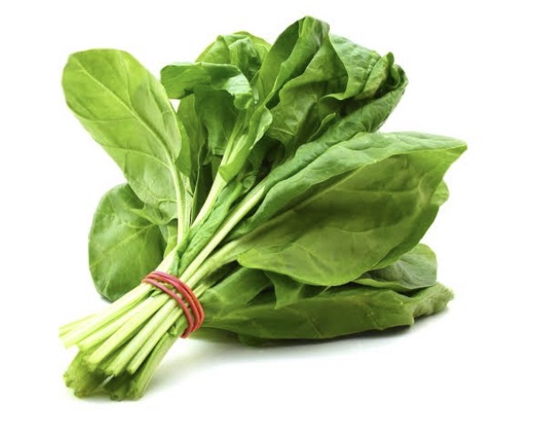 <p>spinach</p>