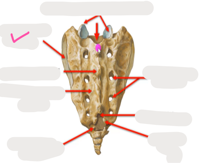 <p>What’s this?</p>