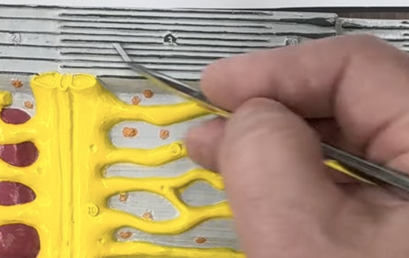 knowt flashcard image