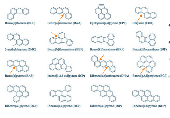 <ul><li><p>Genotoxic carcinogens formed during incomplete combustion of organic matter</p></li><li><p>Mainly found in smoke, also cigarette smoke (therefore smokers have higher chance of cancer)</p></li><li><p>Bay region theory: PAHs with bay regions are carcinogenic. (see picture)</p></li><li><p>It becomes dangerous when metabolized in the liver, leading to liver tumors.</p></li><li><p>Metabolization = more reactive, they are electrophilic and react with EVERYTHING</p></li></ul><p></p>