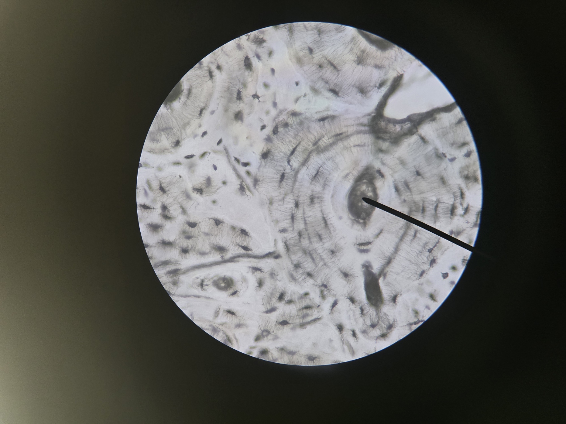 <p>Name Structure, Be Specific</p>