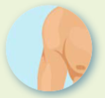 <p>De schouder</p><p></p>