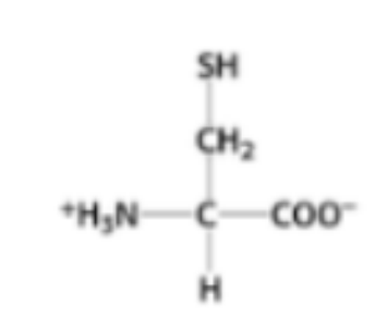 <p>What amino acid is this?</p>