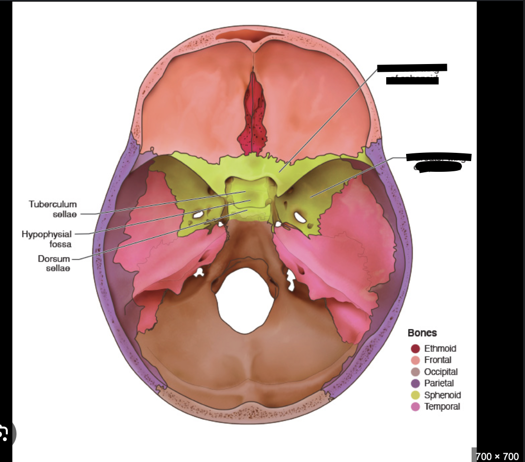 <p>bottom indent below lesser ( more is less)</p>