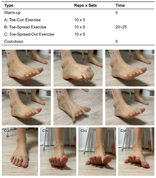 <p>Movements of Toes (Entire)</p>