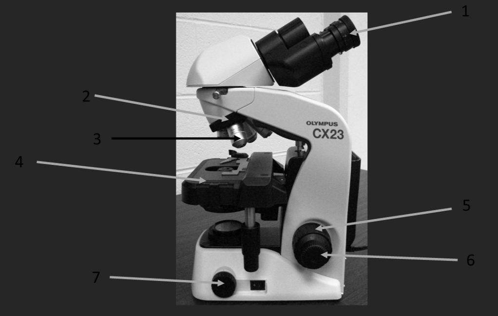 <p><span>What is the name of microscope part 5 in the image above?</span></p>