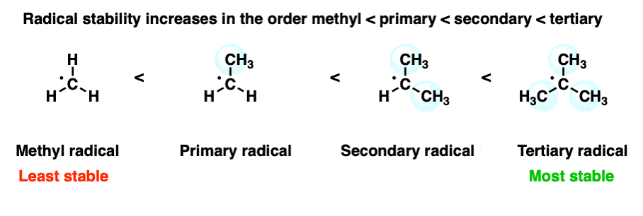 <p>More Carbons attached, more stable (Remember Stability Order for Primary-Tertiary Carbons, it applies the same for Radical Stability). see image</p>