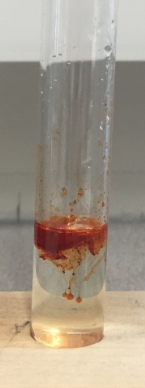 <p><span>Given this test tube result. This tube contains</span></p>