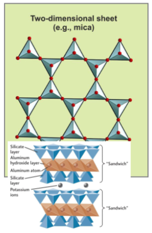 <p>Sheet-silikater</p><p></p><p>Tre af tetraedets fire ilt ioner er delt med andre 3 tetraeder (toppen af SiO4 ionen er bukke bundet på en anden tetraedet)</p><p></p><p>Lag formet</p><p></p><p>Biotit, Muskovit, lermineraler</p>