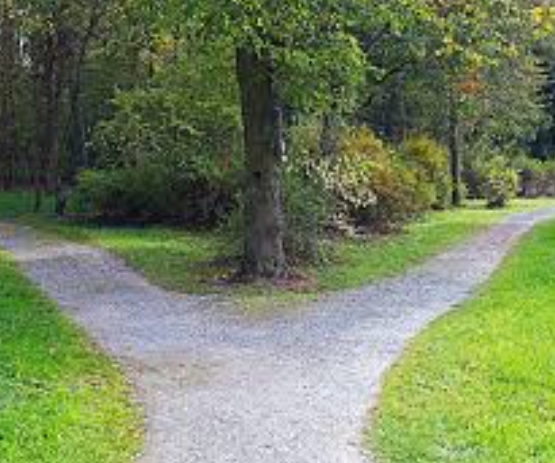 <p>Camino, ruta, método o forma de hacer algo</p>