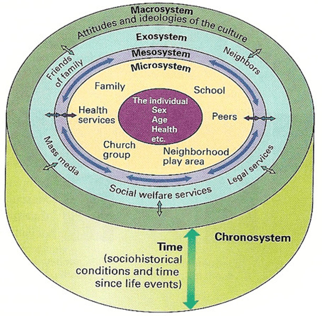 <p>- approach to understanding processes and contexts of human development that identifies five levels of environmental influence.</p>