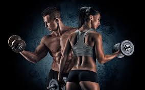 <p><span style="background-color: transparent;">de bodybuilding (健美)</span></p>