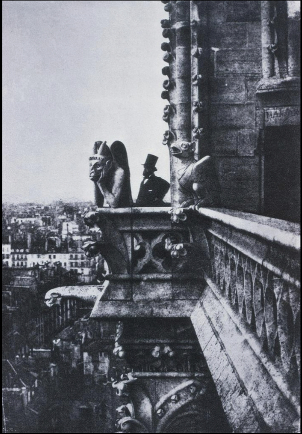 term image