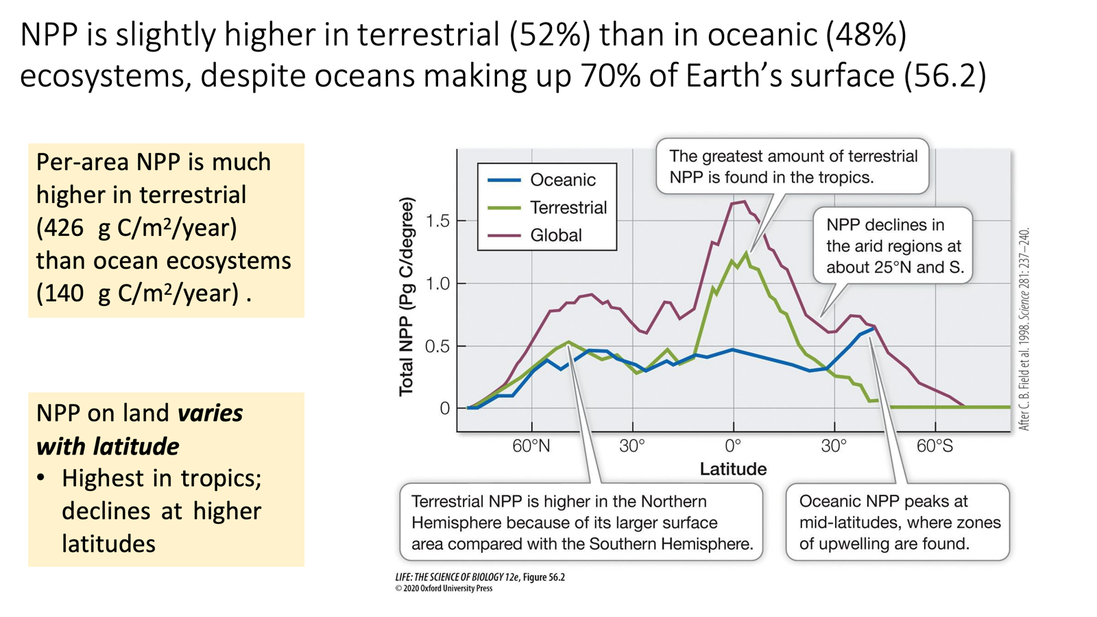 <ul><li><p>Terrestrial ecosystems account for ~52% of global NPP; oceans ~48%, despite oceans covering 70% of Earth's surface</p><ul><li><p><span>Per-area NPP is much higher in terrestrial (426&nbsp; g C/m<sup>2</sup>/year) than ocean ecosystems (140&nbsp; g C/m<sup>2</sup>/year) .</span></p></li></ul></li><li><p>NPP on land varies with latitude</p><ul><li><p>Peaks at the equator/tropics for terrestrial patterns. </p></li><li><p>Logically, this makes sense as with increasing latitude, NPP will decrease with declining temperature and precipitation. </p><ul><li><p>Given this trend, it follows that similarly to the global wind patterns. <span>20-30 degrees north and south take a dip because they are associated with the subtropical deserts/arid regions</span></p></li></ul></li></ul></li></ul><ul><li><p>NPP concerning oceanic trends remains semi-consistent but peaks at mid latitudes where zones of upwelling are found. </p></li></ul><p></p>