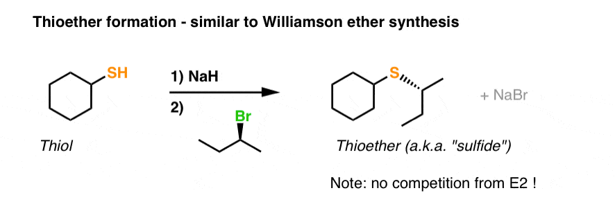 <p>Thiolate (RS⁻) + Alkyl halide → R-S-R' (Thioether) via Williamson-type SN2. Thiolates are better nucleophiles than alkoxides.</p>