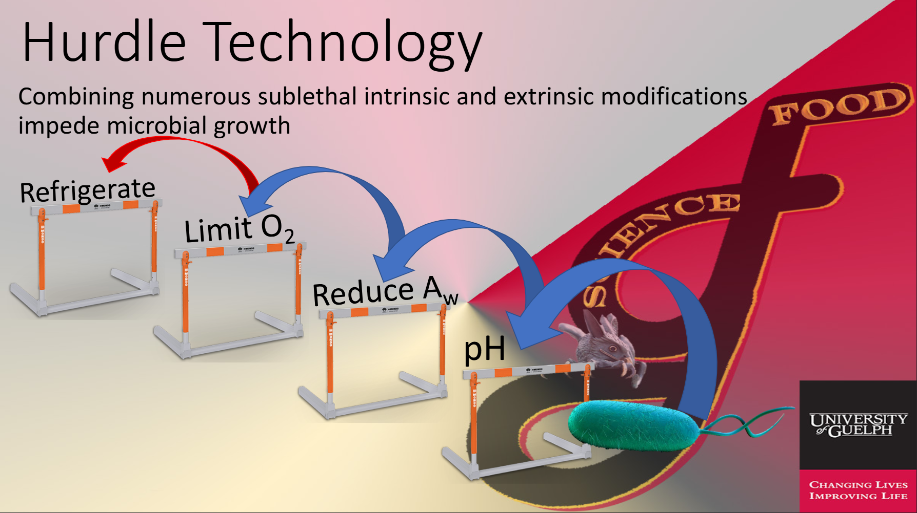 <p><strong>Hurdle technology</strong> combines multiple <strong>sublethal intrinsic and extrinsic factors</strong> that work together to prevent or slow microbial growth.</p><p>Examples of “hurdles” include:</p><ul><li><p><strong>Refrigeration</strong> → slows microbial metabolism and growth</p></li><li><p><strong>Limiting O₂</strong> → inhibits microbes that require oxygen</p></li><li><p><strong>Reducing water activity (aᵥ)</strong> → reduces water available for microbial growth</p></li><li><p><strong>Lowering pH</strong> → creates an acidic environment that inhibits many microbes</p></li></ul><p><strong>Key idea:</strong> Each hurdle alone may not stop microbes, but <strong>combining several hurdles makes the food environment much harder for microbes to survive and grow in.</strong></p>