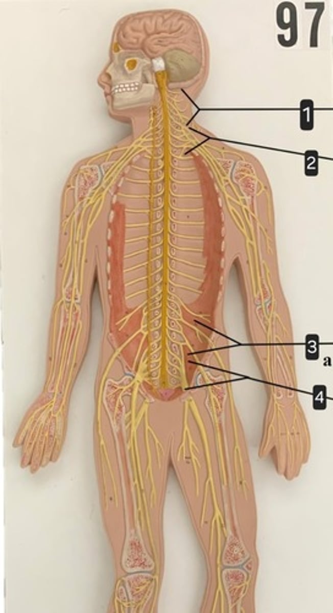 <p>2</p>
