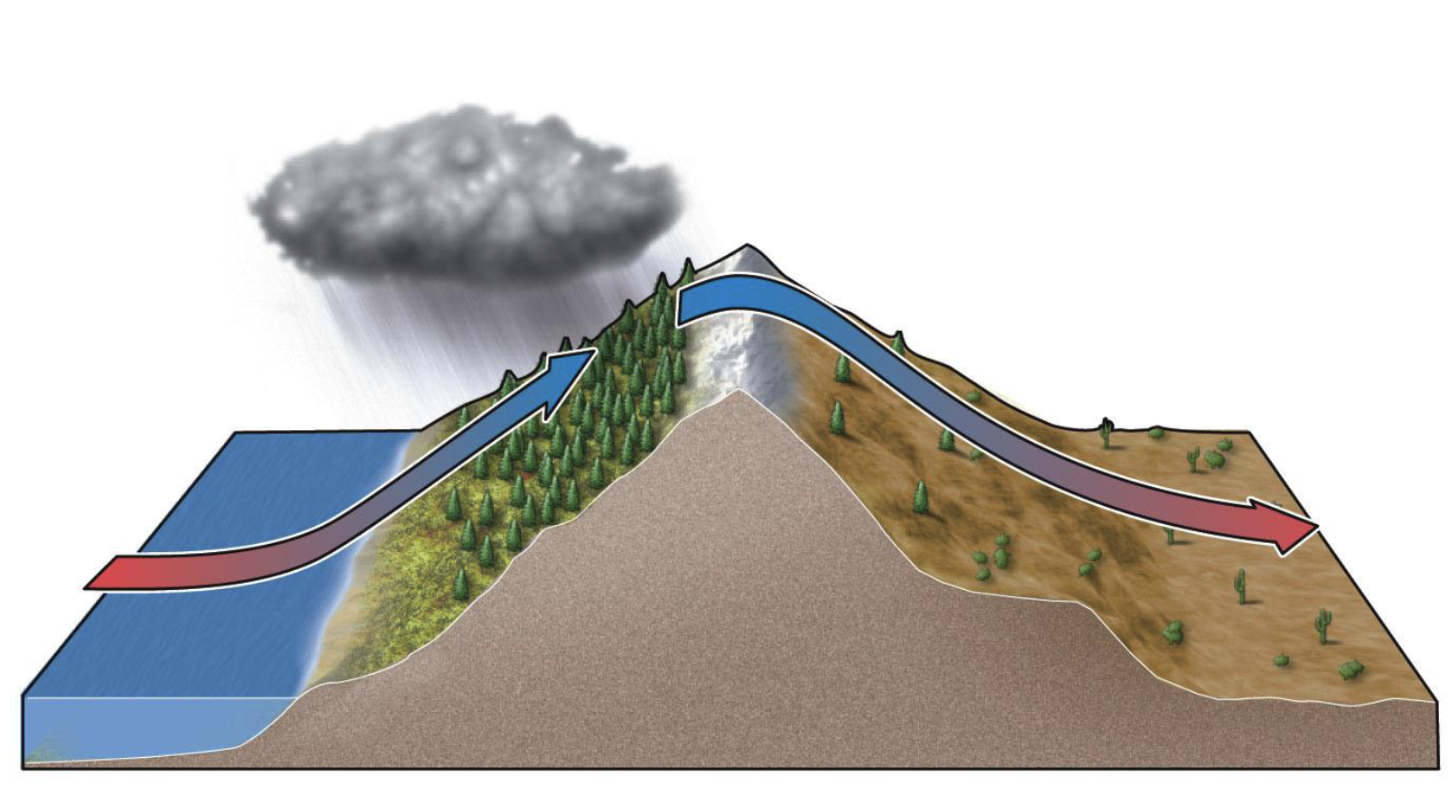 <p>- moist air rises over a mountain, cools &amp; precipitates on the windward side → then descends as warm and dry air on the leeward side, creating dry conditions</p><ul><li><p>double whammy - occurs when dry air picks up moisture once again &amp; as it ascends it creates an opportunity for another rain shadow effect (wet, dry, wet, dry)</p></li></ul><p></p>