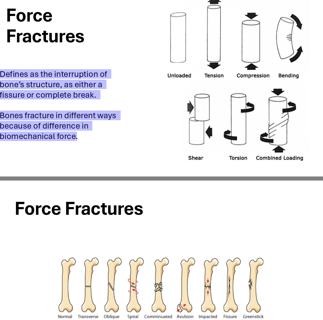 <p>Force Fractures</p>