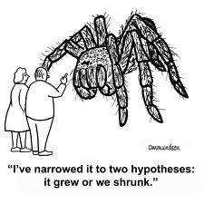 <p><span>Hypothesis</span></p>