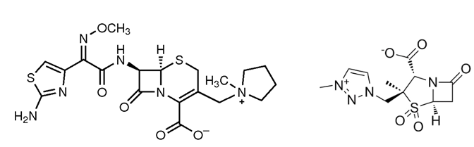 <p>Cephalosporine:</p>