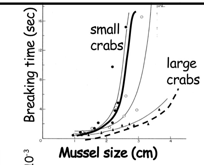 <p>What does this graph read as:</p>