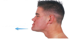 <p>Moving a body part forward.</p>
