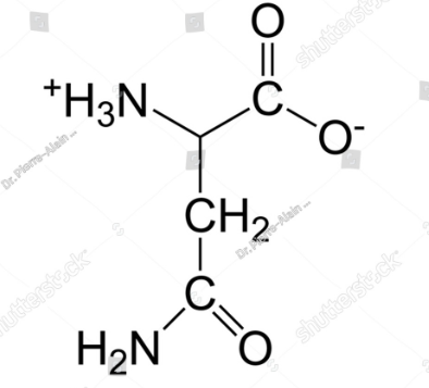 <p>What is this amino acid?</p>