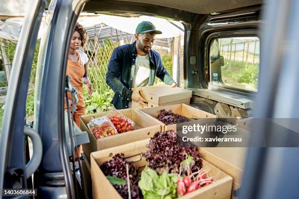 <p>He puts the vegetables in trucks</p>