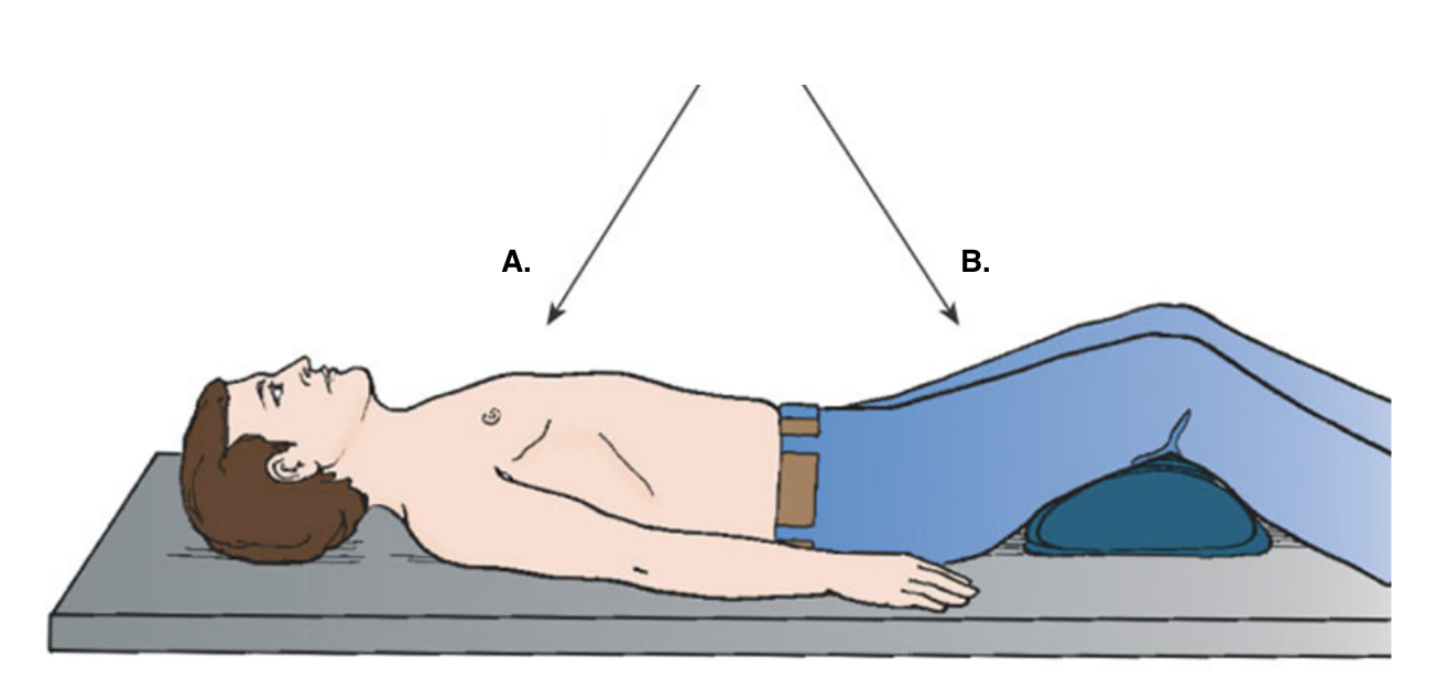 <p>what is ray B. in this image?</p>