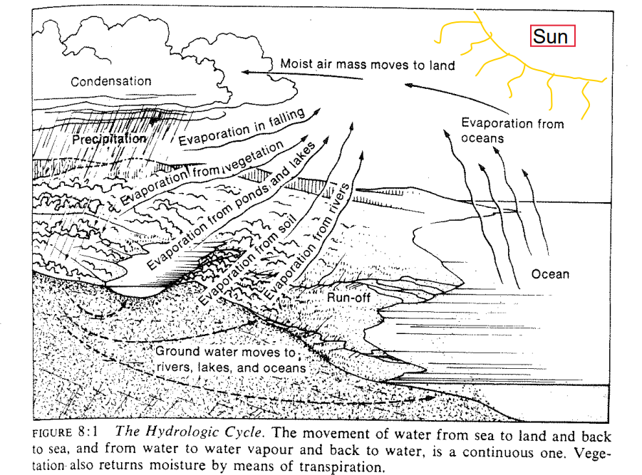 <p>just another name for water cycle LOL</p><p>basic cycle: evaporation → condensation → precipitation</p><p><strong>Note: humid air masses move towards land before precipitation</strong></p><p>Possible Trajectories For A Water Molecule:</p><ul><li><p>evaporates while it is falling</p></li><li><p>soaks into aquifers</p><ul><li><p>potentially dissolves soluble minerals (corrosion)</p><ul><li><p>eventually flows into rivers/lakes/ocean</p></li></ul></li></ul></li><li><p>evaporates from lake/pond</p></li><li><p>evaporates from ocean</p></li><li><p>evaporates from river</p></li><li><p>evaporates from plants (<strong>transpiration)</strong></p></li></ul><p></p>