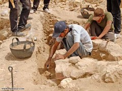 <p>Study of the human past by examining artifacts and fossils.</p>