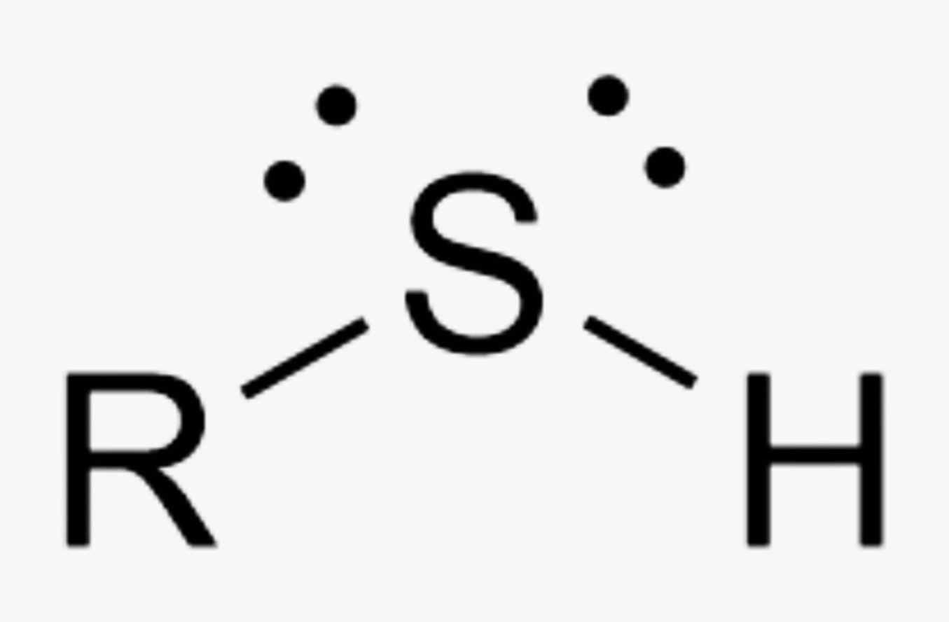 <p>What is the name of this organic functional group?</p>