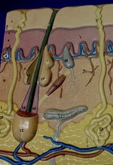 <p>#10 & 11</p>