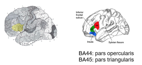 <p><span style="line-height: 107%;">§</span><span style="font-family: "Times New Roman"; line-height: normal; font-size: 7pt;">&nbsp; </span><span style="font-family: "Times New Roman", serif; line-height: 107%;">BA44 (Aire 44) ET BA45 (Aire 45)</span></p>
