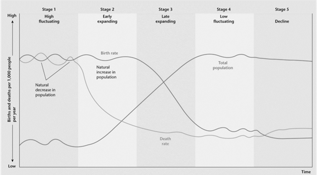 <p>Stage1: High birth and death rate - no population change</p><p>Stage2: High birth and decreasing death rate - rapid population growth</p><p>Stage3: Decreasing birth and low death rate - slower population growth</p><p>Stage4: Low birth and lower death rate - very slow/no population growth</p><p>Stage5: Lower birth and low death rate - population decline</p>