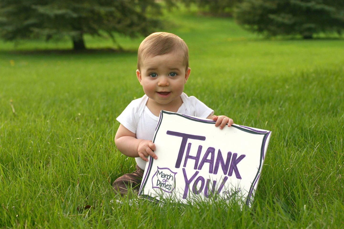 <p>thank</p>