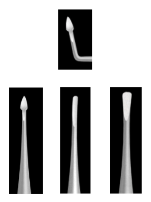 term image