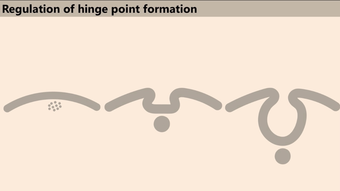 <p>Added this slide, what is it? What is the goal?</p>